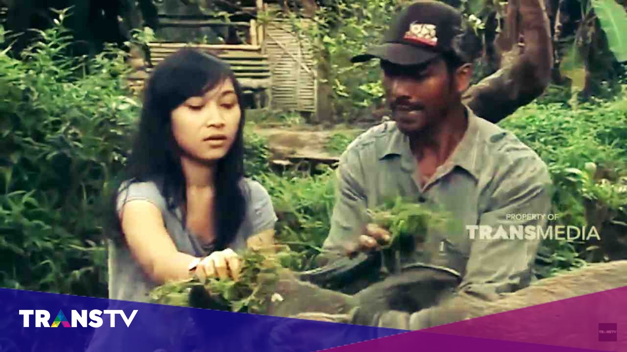 JIKA AKU MENJADI: Merajut Nasib, Membajak Sawah - Trans TV