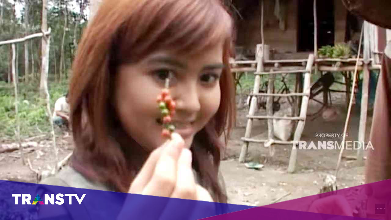 JELAJAH: Lada Putih Pulau Bangka Berkelas Dunia - Trans TV