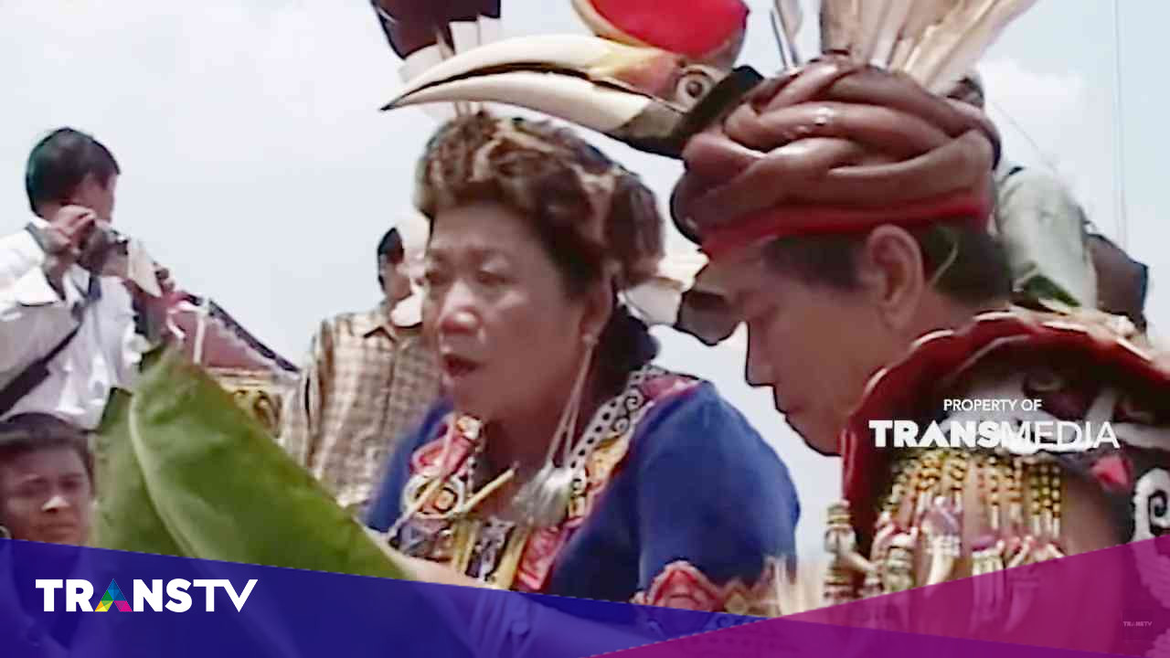 JELAJAH: Menjumpai Kearifan Suku Dayak Tunjung - Trans TV